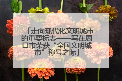 走向现代化文明城市的重要标志——写在周口市荣获“全国文明城市”称号之际