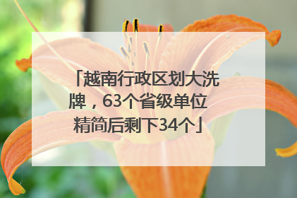 越南行政区划大洗牌，63个省级单位精简后剩下34个