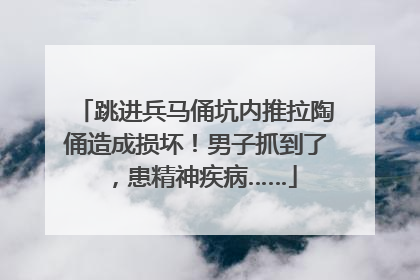 跳进兵马俑坑内推拉陶俑造成损坏！男子抓到了，患精神疾病……