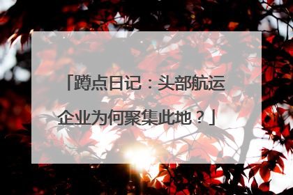 蹲点日记：头部航运企业为何聚集此地？