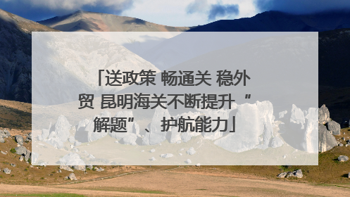 送政策 畅通关 稳外贸 昆明海关不断提升“解题”、护航能力