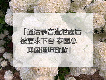 通话录音遭泄露后被要求下台 泰国总理佩通坦致歉