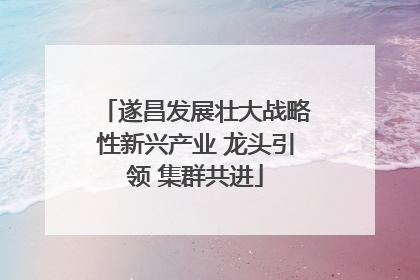 遂昌发展壮大战略性新兴产业 龙头引领 集群共进