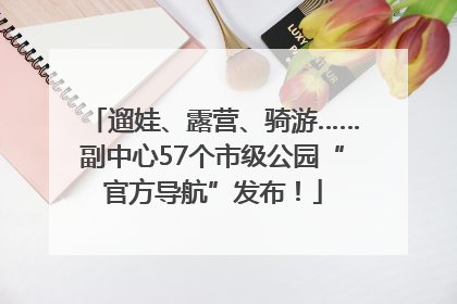 遛娃、露营、骑游……副中心57个市级公园“官方导航”发布！