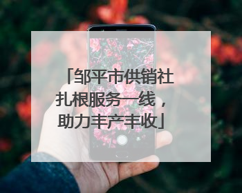 邹平市供销社扎根服务一线，助力丰产丰收