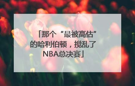 那个“最被高估”的哈利伯顿，搅乱了NBA总决赛