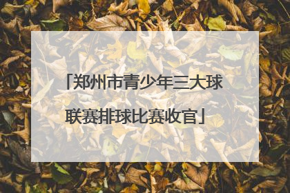郑州市青少年三大球联赛排球比赛收官