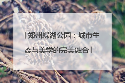 郑州蝶湖公园：城市生态与美学的完美融合