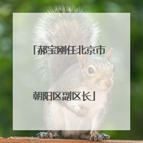 郝宝刚任北京市朝阳区副区长