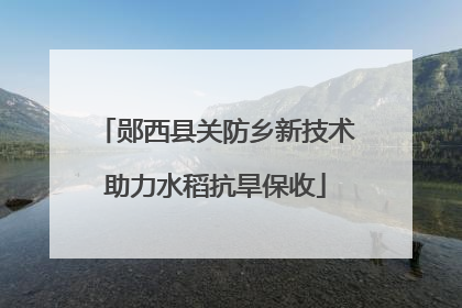 郧西县关防乡新技术助力水稻抗旱保收
