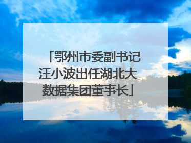 鄂州市委副书记汪小波出任湖北大数据集团董事长