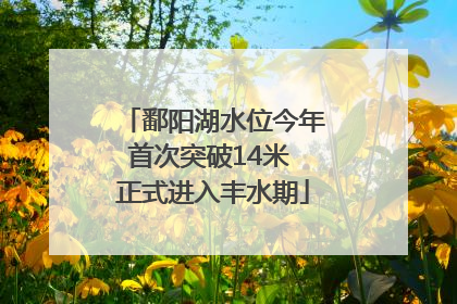 鄱阳湖水位今年首次突破14米 正式进入丰水期