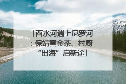 酉水河遇上尼罗河：保靖黄金茶、村厨“出海”启新途