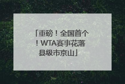 重磅！全国首个！WTA赛事花落县级市京山