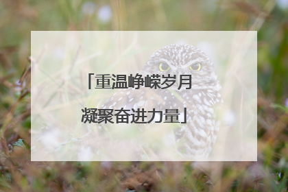 重温峥嵘岁月 凝聚奋进力量