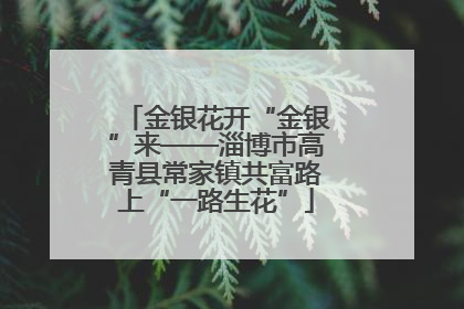 金银花开“金银”来——淄博市高青县常家镇共富路上“一路生花”