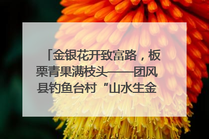 金银花开致富路，板栗青果满枝头——团风县钓鱼台村“山水生金”谱写共富新篇章