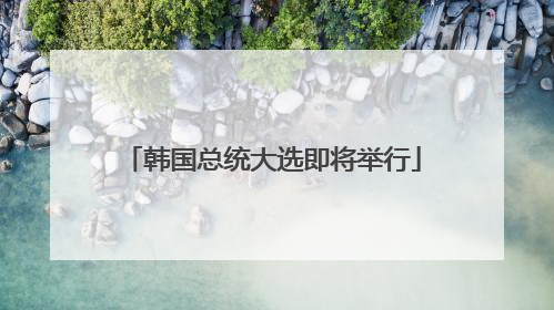 韩国总统大选即将举行