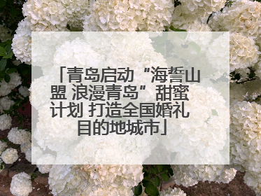 青岛启动“海誓山盟 浪漫青岛”甜蜜计划 打造全国婚礼目的地城市