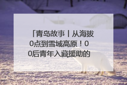 青岛故事丨从海拔0点到雪域高原！00后青年入藏援助的400多个日夜