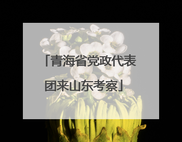青海省党政代表团来山东考察