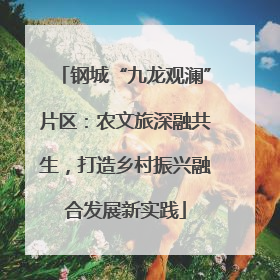 钢城“九龙观澜”片区：农文旅深融共生，打造乡村振兴融合发展新实践