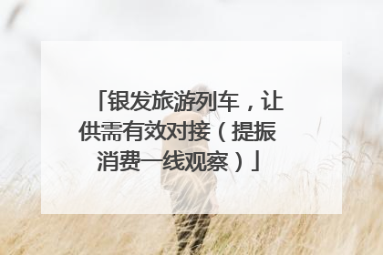 银发旅游列车，让供需有效对接（提振消费一线观察）