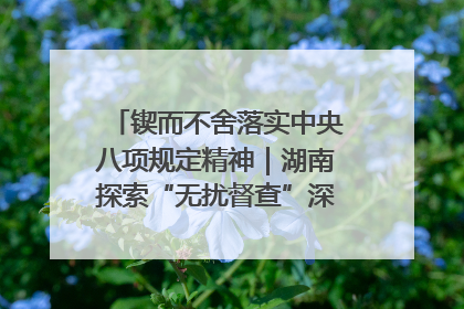 锲而不舍落实中央八项规定精神｜湖南探索“无扰督查”深化基层减负