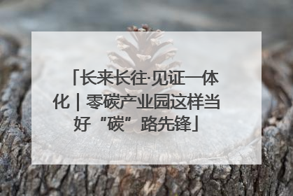 长来长往·见证一体化｜零碳产业园这样当好“碳”路先锋