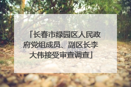 长春市绿园区人民政府党组成员、副区长李大伟接受审查调查