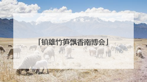 镇雄竹笋飘香南博会