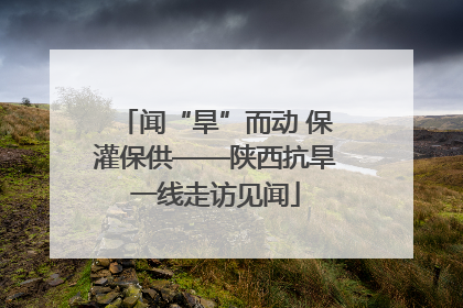 闻“旱”而动 保灌保供——陕西抗旱一线走访见闻