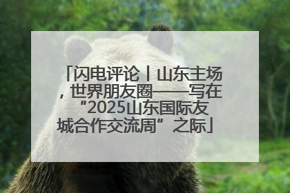 闪电评论丨山东主场，世界朋友圈——写在“2025山东国际友城合作交流周”之际