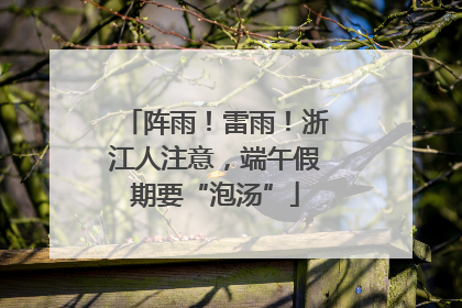 阵雨！雷雨！浙江人注意，端午假期要“泡汤”
