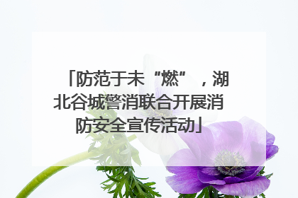 防范于未“燃”，湖北谷城警消联合开展消防安全宣传活动