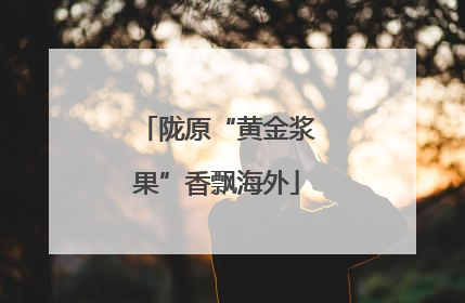 陇原“黄金浆果”香飘海外