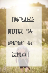 陈飞赴益阳开展“法治护绿”执法检查
