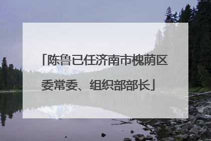 陈鲁已任济南市槐荫区委常委、组织部部长