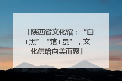 陕西省文化馆：“白+黑”“馆+景”，文化供给向美而聚