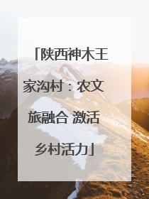 陕西神木王家沟村：农文旅融合 激活乡村活力