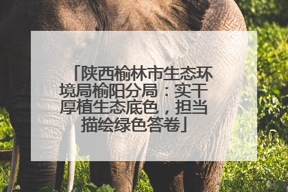 陕西榆林市生态环境局榆阳分局：实干厚植生态底色，担当描绘绿色答卷