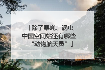 除了果蝇、涡虫 中国空间站还有哪些“动物航天员”