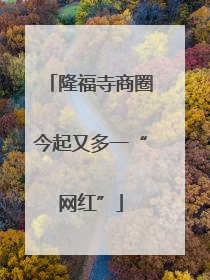 隆福寺商圈今起又多一“网红”