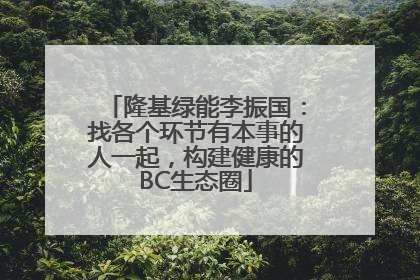 隆基绿能李振国：找各个环节有本事的人一起，构建健康的BC生态圈