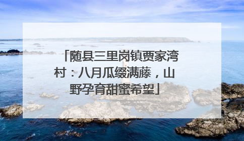 随县三里岗镇贾家湾村：八月瓜缀满藤，山野孕育甜蜜希望