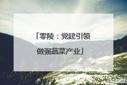 零陵：党建引领 做强蔬菜产业