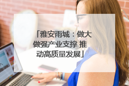 雅安雨城：做大做强产业支撑 推动高质量发展