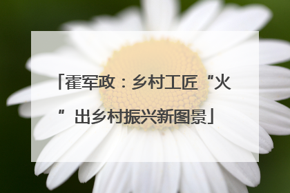 霍军政：乡村工匠“火”出乡村振兴新图景