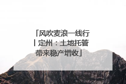 风吹麦浪一线行丨定州：土地托管带来稳产增收