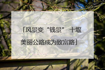 风景变“钱景” 十堰美丽公路成为致富路